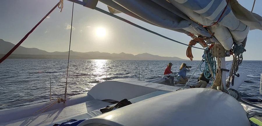 velero