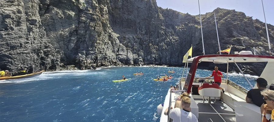 Avistamiento de delfines y ballenas en barcojpg