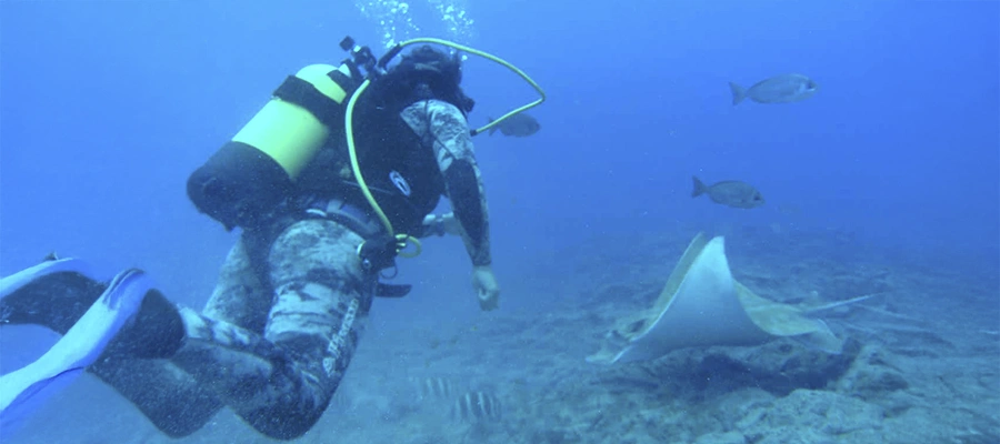 Vista de la Bautismo de buceo en Costa Adeje en Fuerteventura