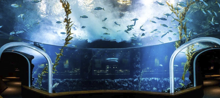 Entrada al acuario Poema del Mar