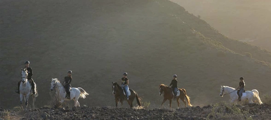 Paseo a caballo por El Salobre: Vistas a Playa del Inglés y Dunas de Maspalomas