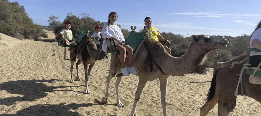 Paseo en camello por las dunas de Maspalomas
