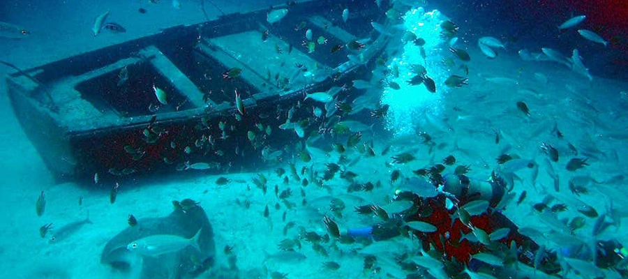 Paseo en submarino por el sur de Tenerife