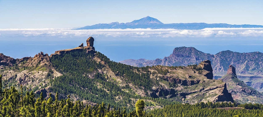 Tour de Gran Canaria al completo