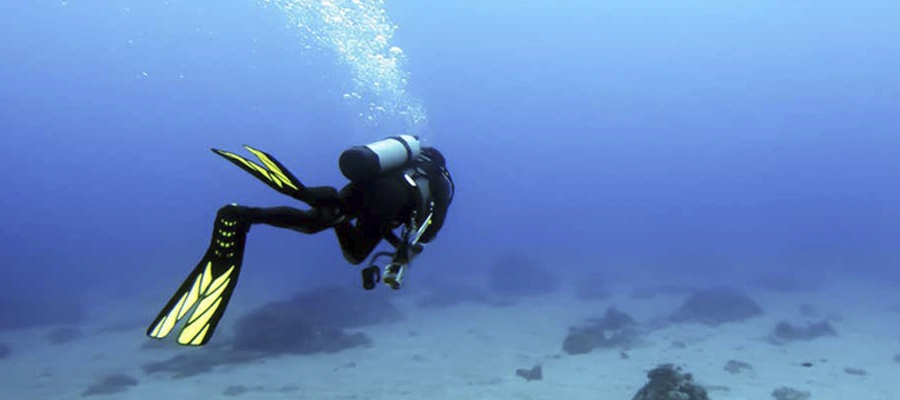 Bautismo de Buceo en Las Galletas: Explorando el Atlántico