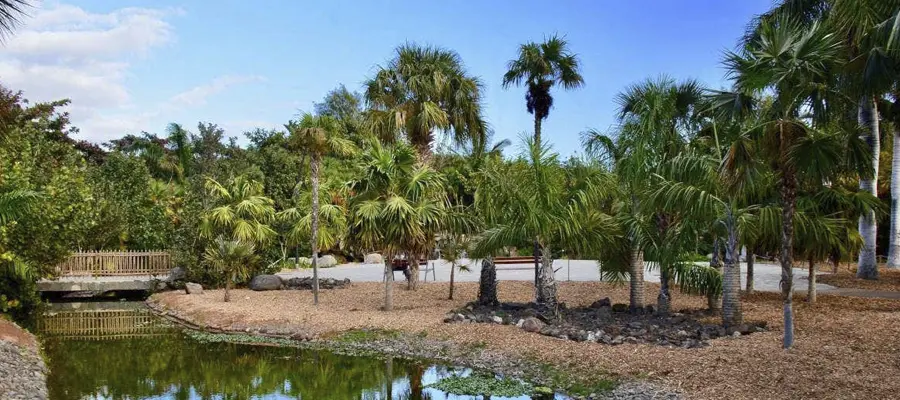 Entrada al Palmetum