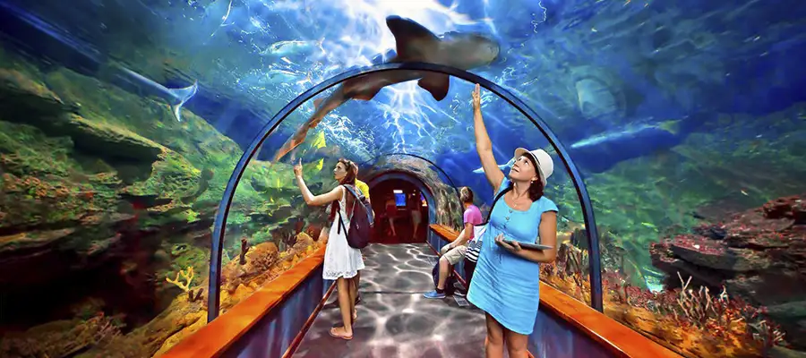 Excursión al Loro Parque