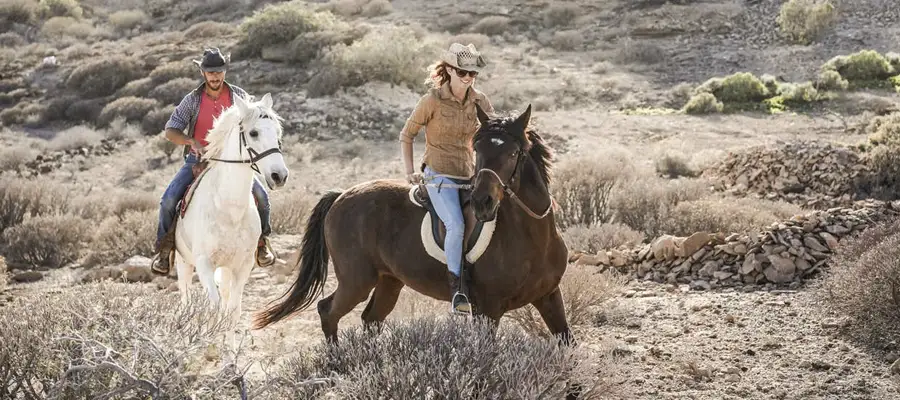Paseo a Caballo por Arona: Naturaleza Volcánica y Tradición