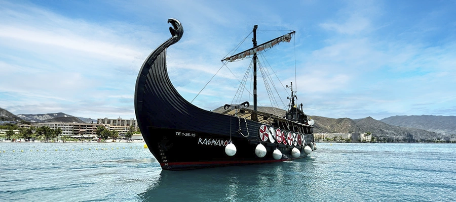 Paseo en barco vikingo con avistamiento de delfines y ballenas