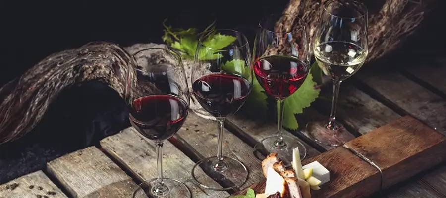 La mejor manera de descubrir los vinos volcánicos en Bodegas Monje