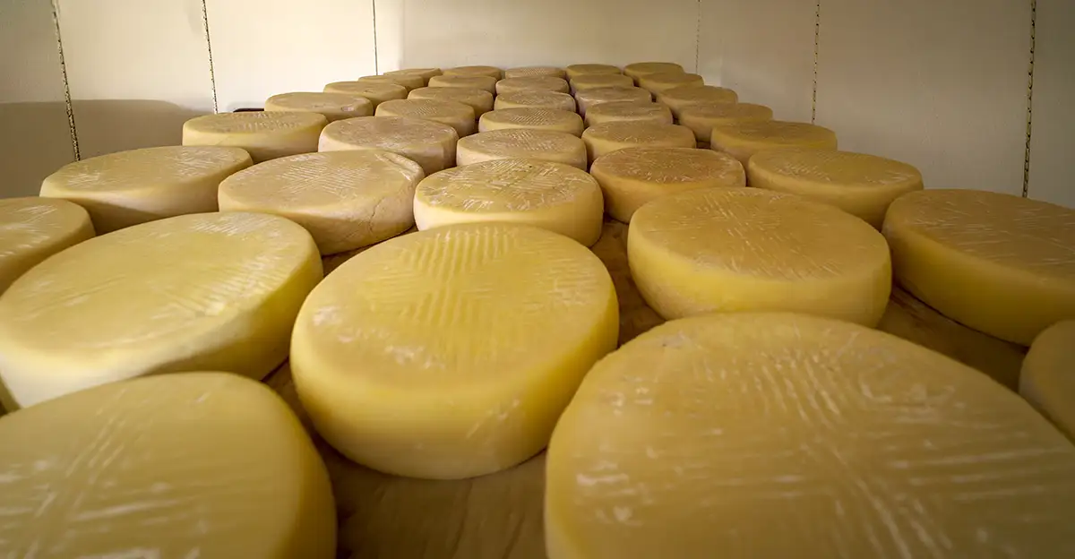 queso de flor