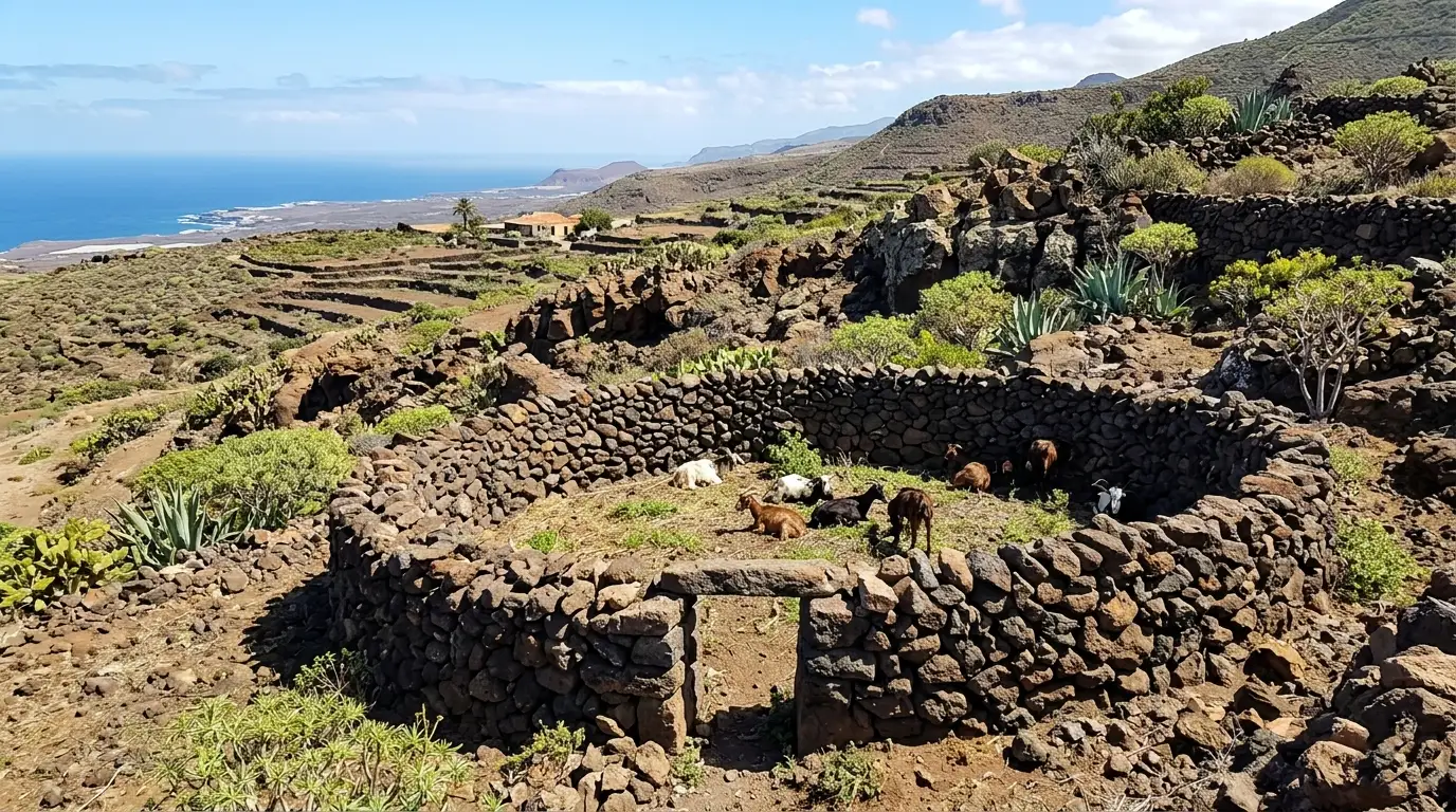 goro - GUÍA DE FUERTEVENTURA