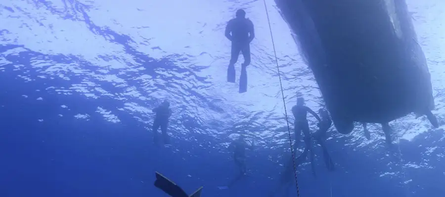 Paseo en Barco por las Lenguas de Lava de Costa Adeje y Snorkel