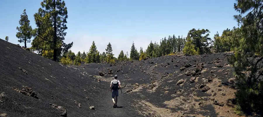 Senderismo por el Volcán Chinyero: Un Viaje al Último Latido de Tenerife