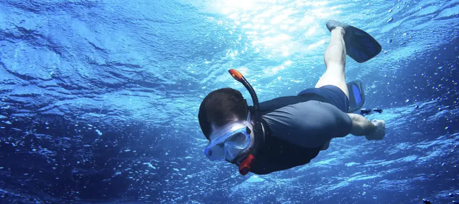 Snorkel en Fuencaliente: Vida Marina y Coladas de Lava