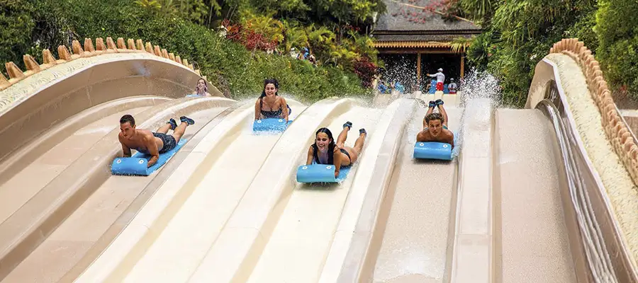 Transporte entre Puerto de la Cruz y Siam Park