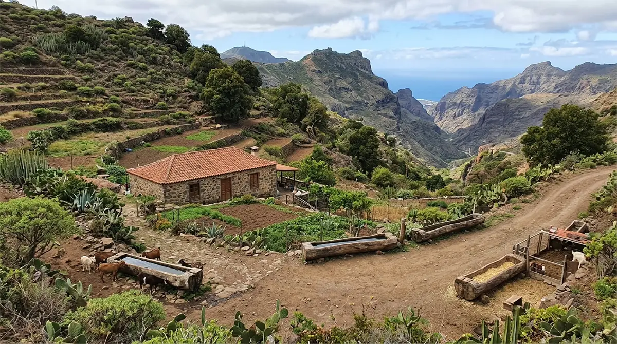 Arquitectura tradicional canaria con antiguos dornajos de madera