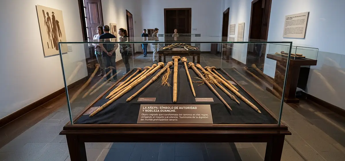 Añepas aborígenes expuestas en una vitrina de museo