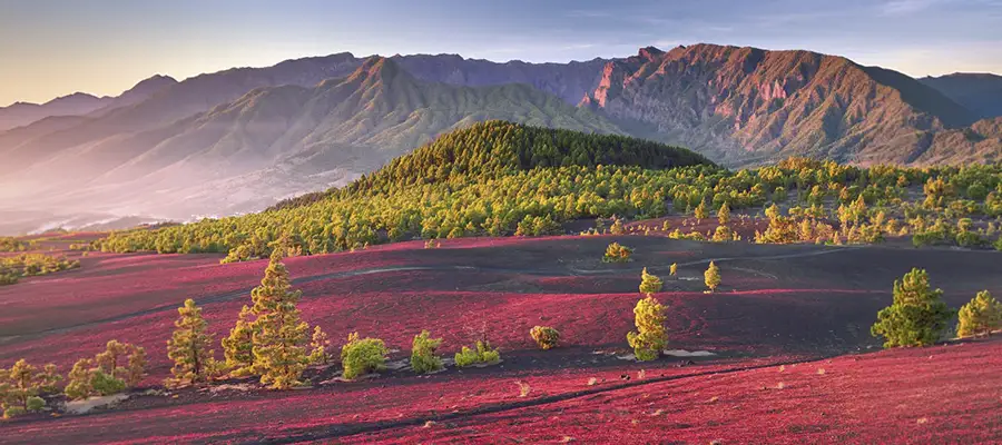 Senderismo al atardecer por el volcan Tajogaite y Llanos del Jable