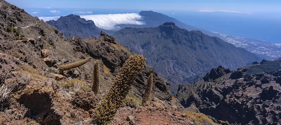 Senderismo por el Roque de los Muchachos: El techo de La Palma