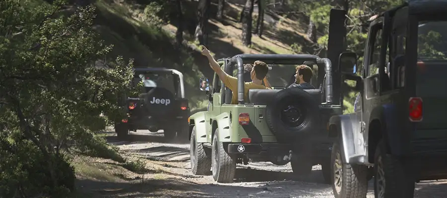 Ruta en 4×4 por el centro y sur de La Palma: Conduce tu propia aventura