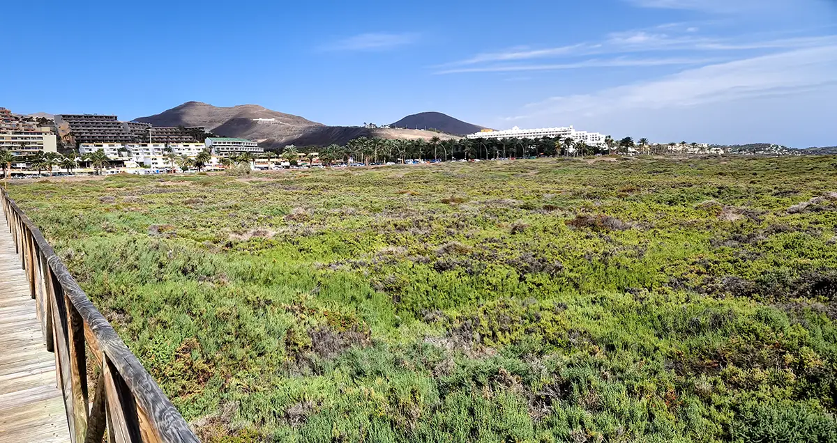 Pisadas que Importan: La Revolución Silenciosa del Turismo Responsable en Fuerteventura
