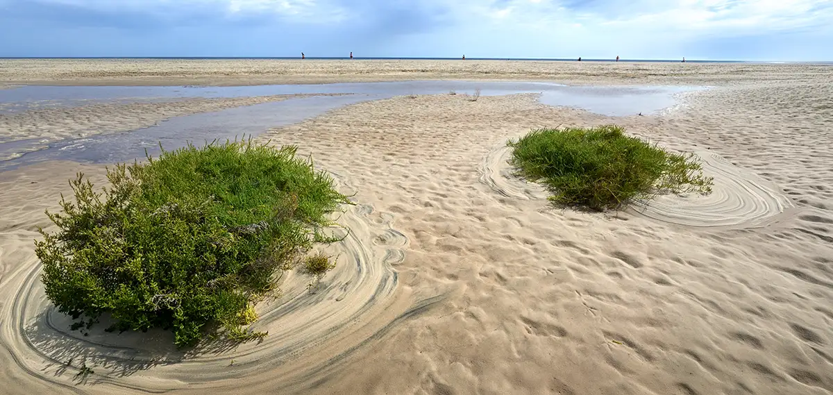 Pisadas que Importan: La Revolución Silenciosa del Turismo Responsable en Fuerteventura