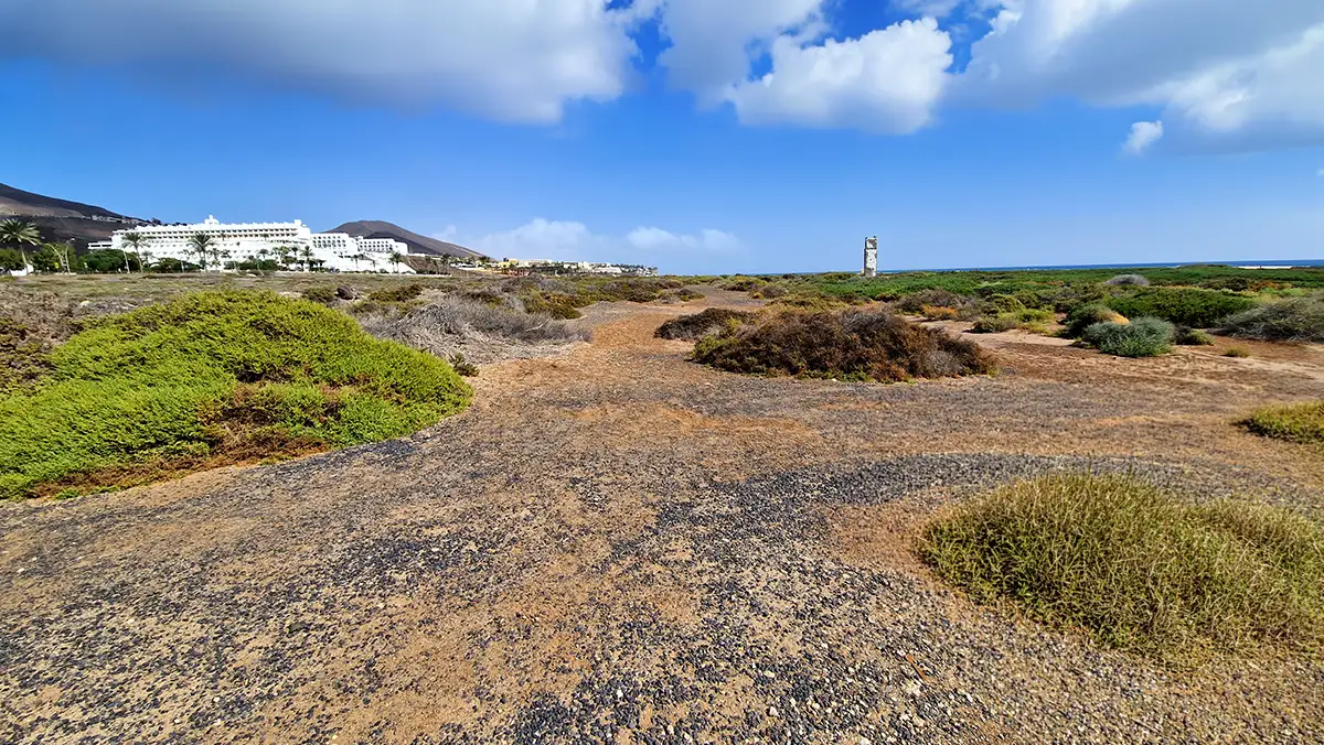 Pisadas que Importan: La Revolución Silenciosa del Turismo Responsable en Fuerteventura