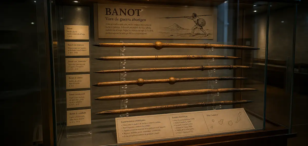 Vitrina de museo exhibiendo un bonot antiguo